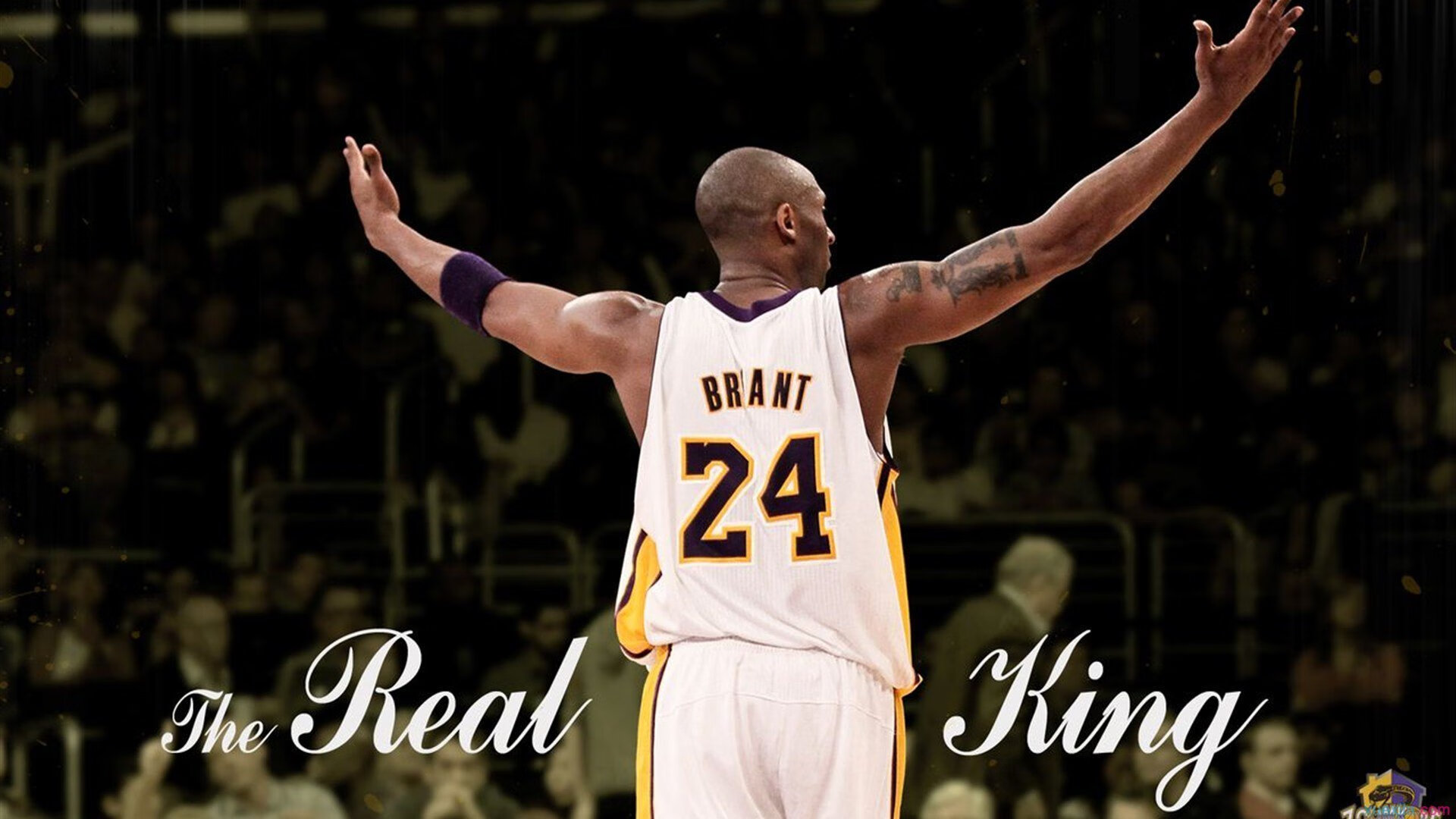 蓝军客场负于布莱顿，遭遇双杀，蓝军指的是哪个球队