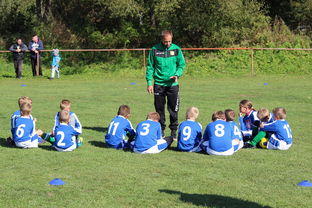 澳大利亚队如何通过团队赛制战术，在大赛中脱颖而出，澳大利亚队伍